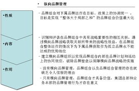 橫向品牌管理 超越傳統縱向模式，以攝像及制作服務為例